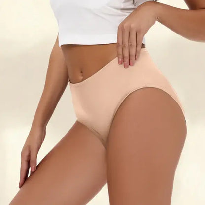 NEW: Elegant High-Leg Absorbent Briefs (Bundles)